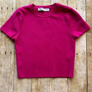 ZARA Fuchsia, Pink Short Sleeve Crop Top